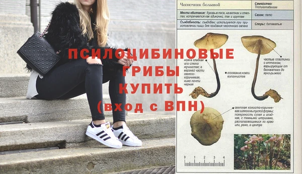 mdma Заволжск