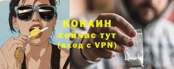 дживик Заводоуковск