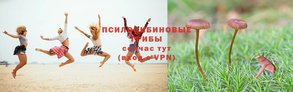 mdma Заволжск