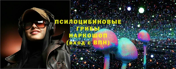 дживик Заводоуковск
