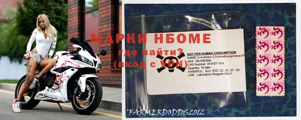 дживик Заводоуковск