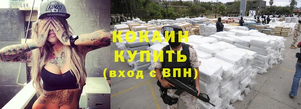 индика Заволжье