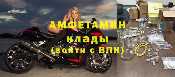 индика Заволжье