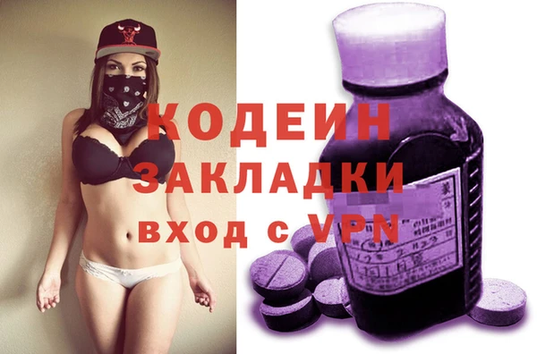 индика Заволжье