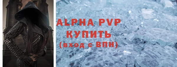 индика Заволжье
