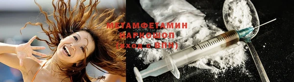индика Заволжье