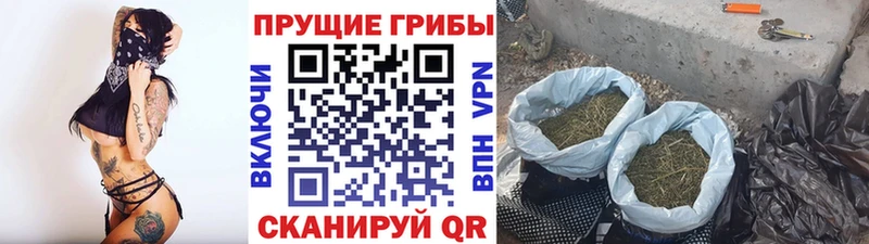 Псилоцибиновые грибы мухоморы  Заринск 